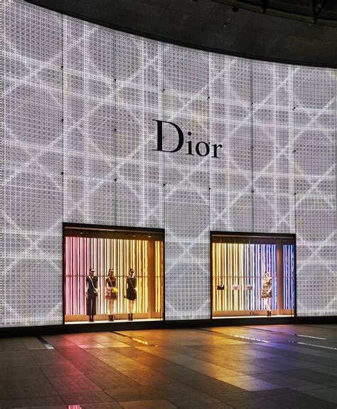 dior joy singapore|christian dior official website singapore.